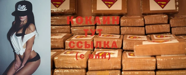 2c-b Алзамай