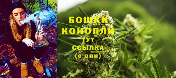 Альфа ПВП Нягань